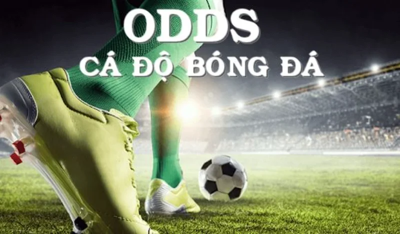 Odds là gì?